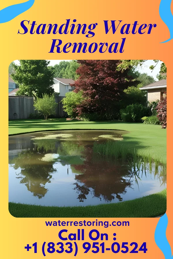 Standing Water Removal in Berea, OH